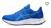 Nike Zoom Pegasus